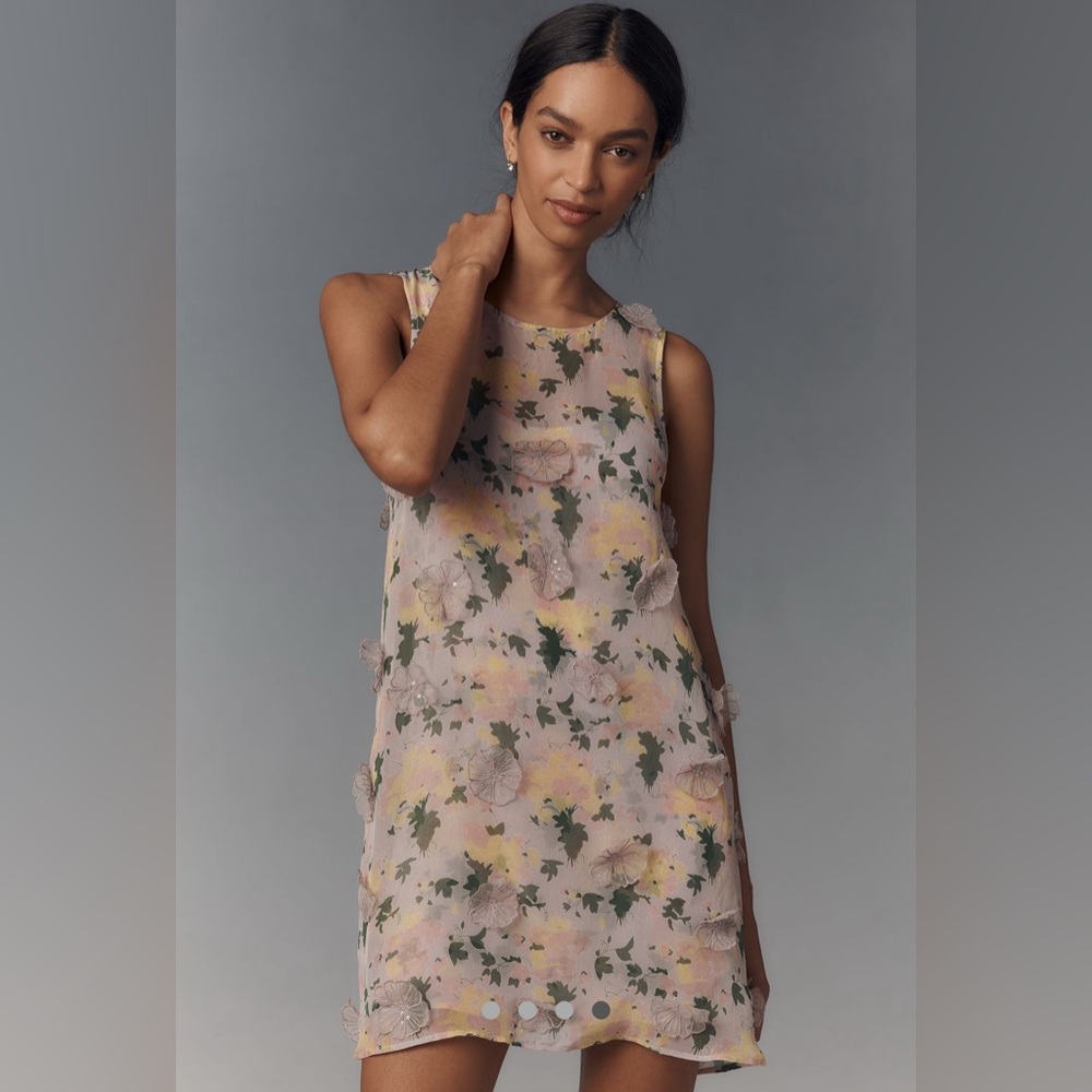 Pinnacle by Shruti Sancheti Sheer Floral Mini Dress size M